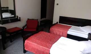 Отель Hotel Tusnad Бэиле-Тушнад Двухместный номер эконом-класса с 2 отдельными кроватями-1