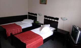 Отель Hotel Tusnad Бэиле-Тушнад Двухместный номер эконом-класса с 2 отдельными кроватями-2